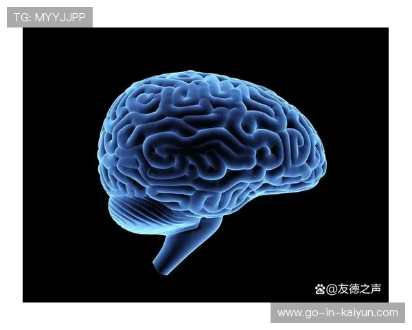 网站反爬虫技术与机制解析及防护策略研究与实践 网站反爬虫技术与机制解析及防护策略研究与实践